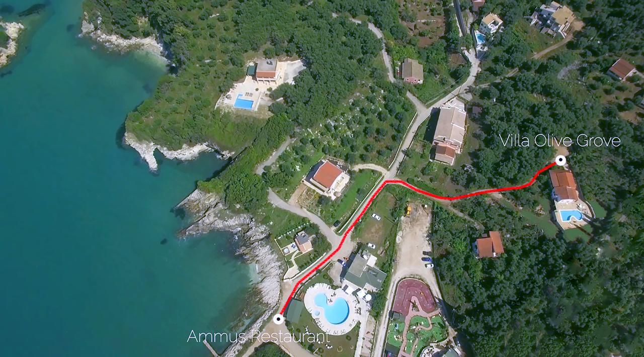 Villa Olive Grove And Sea View Agios Spyridon  Eksteriør billede