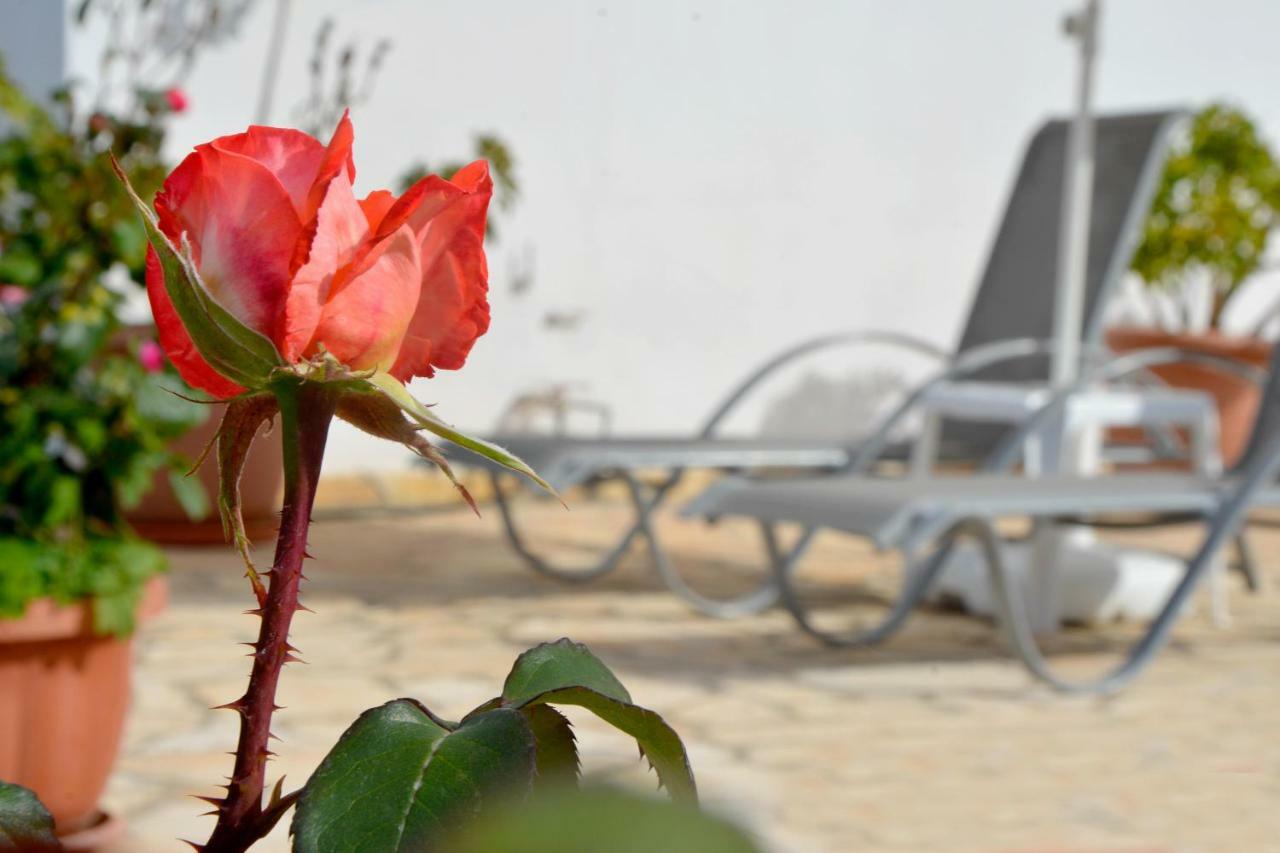 Villa Olive Grove And Sea View Agios Spyridon  Eksteriør billede